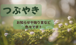 つぶやき